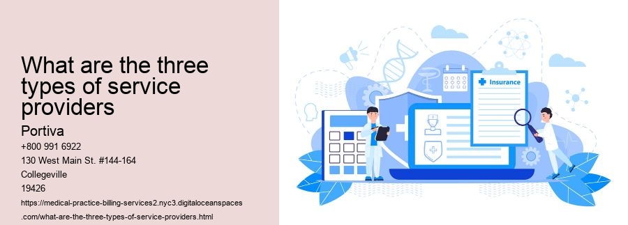 What are the three types of service providers