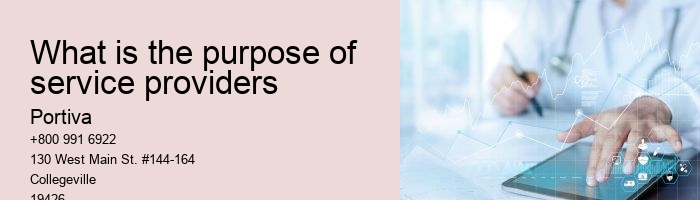 What is the purpose of service providers